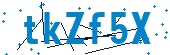 recaptcha