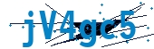 recaptcha